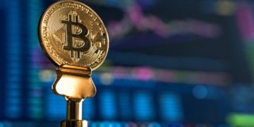 عملة البيتكوين تفقد نصف قيمتها