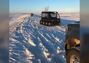 العثور على 4 جثث بينهم طفل بالقرب من الحدود الكندية الأمريكية