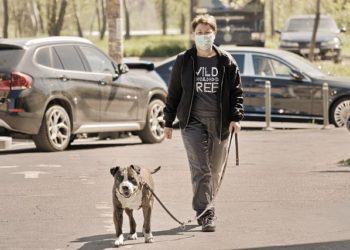 كيبيك تنوي استثناء نزهة الكلاب من حظر التجوّل