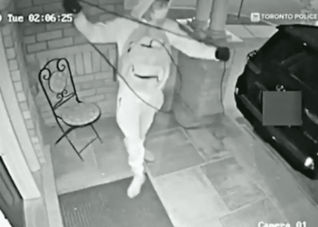 دقيقة واحدة تكفي لسرقة سيارة..عدد قياسي من السيارات المسروقة التي تم ضبطها في ميناء مونتريال