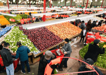 تغريم شركة Sami Fruits بـ 31 مليون دولار بسبب التهرب من دفع الضرائب