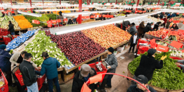 تغريم شركة Sami Fruits بـ 31 مليون دولار بسبب التهرب من دفع الضرائب