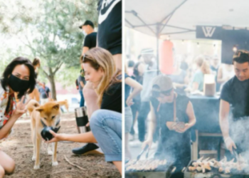 عودة مهرجان الثقافة اليابانية YATAI MTL إلى مونتريال