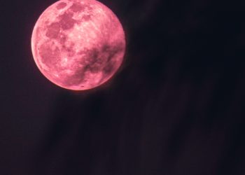 القمر الوردي الكامل سيضيء سماء كندا هذا الشهر