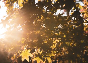 الأجواء الصيفية تلوح في الأفق في العديد من المقاطعات الكندية