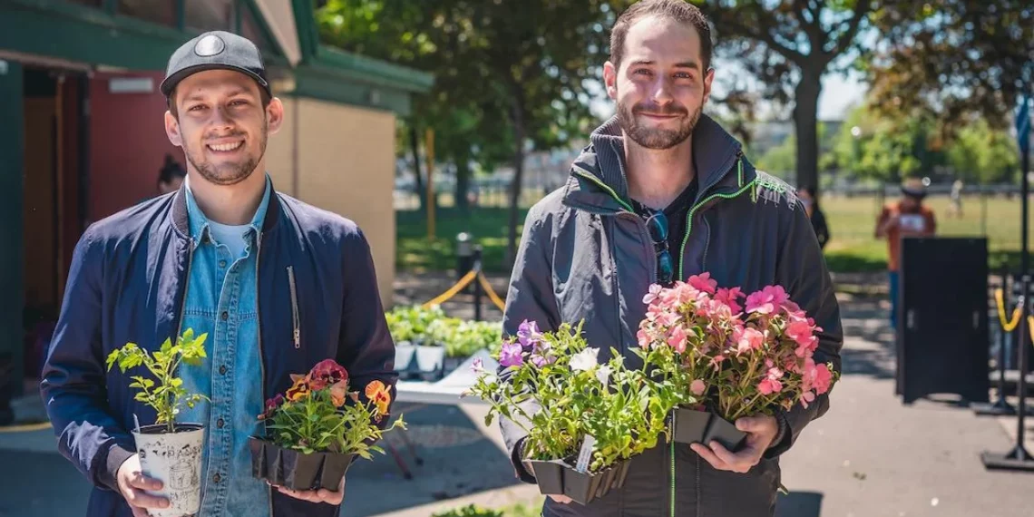 زهور و نباتات مجانية للسكان في مختلف أحياء مونتريال هذا الربيع