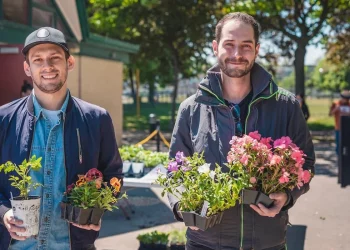 زهور و نباتات مجانية للسكان في مختلف أحياء مونتريال هذا الربيع