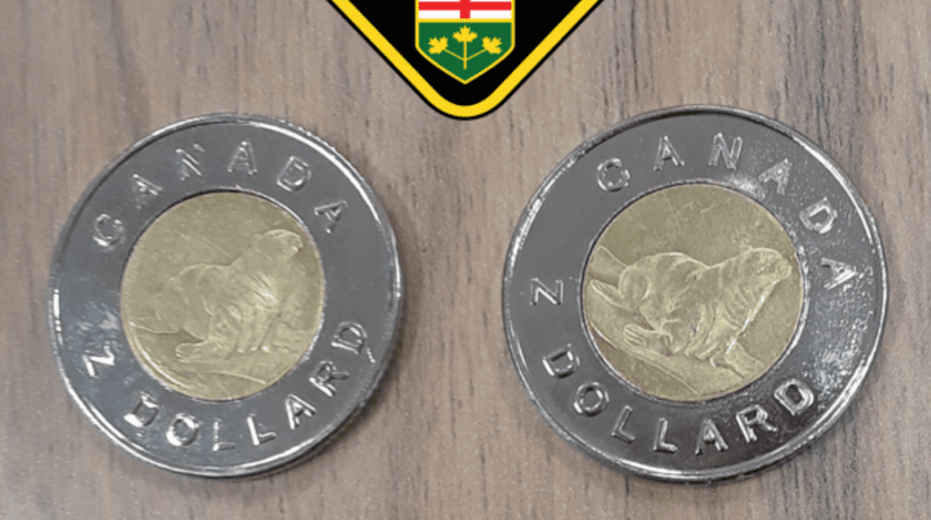 اكتشاف حوالي 10000 قطعة نقودٍ معدنيةٍ مزورة