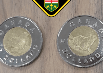 اكتشاف حوالي 10000 قطعة نقودٍ معدنيةٍ مزورة