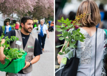 حديقة مونتريال النباتية تستضيف سوق النباتات في الهواء الطلق