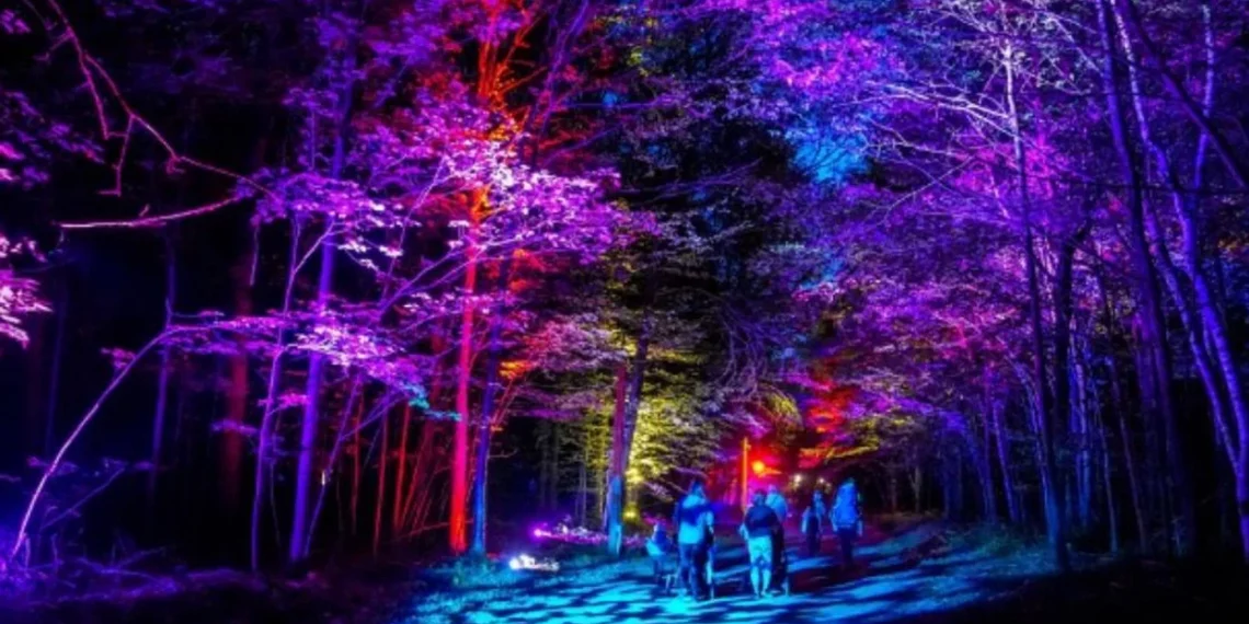 استمتع بالأضواء الساحرة في Sainte-Marthe-sur-le-Lac خلال عطلة نهاية هذا الأسبوع