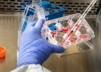 تأكيد 5 حالات إصابة بجدري القرود في كيبيك