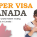 قرار جديد : السماح للأهالي والأجداد البقاء في كندا لمدة تصل إلى 7 سنوات عبر “سوبر فيزا”