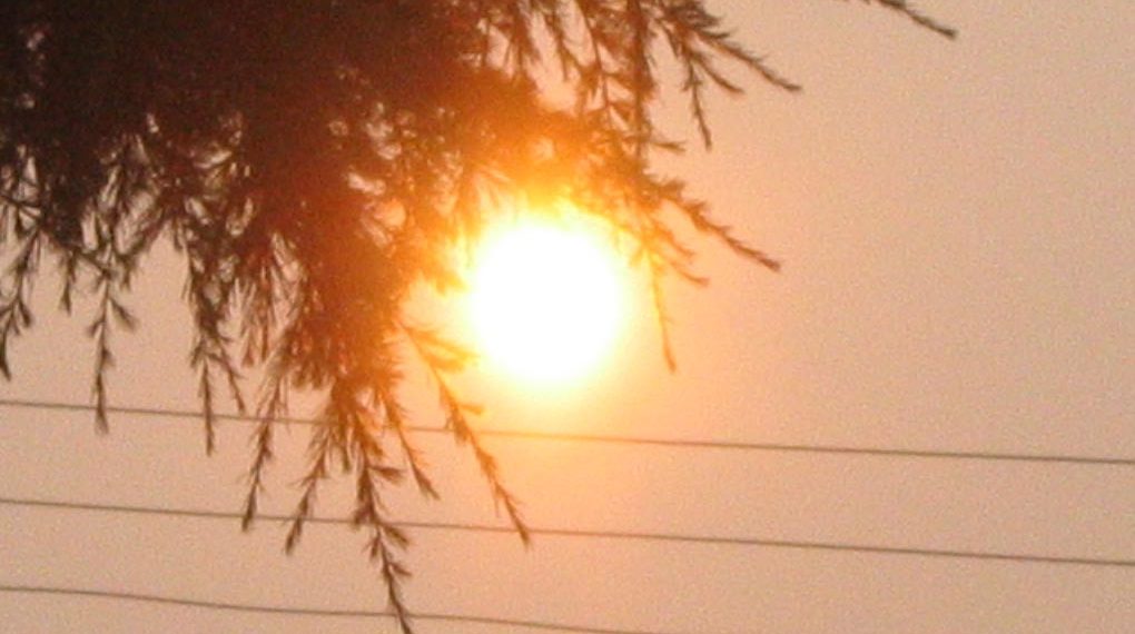 تحذيرات من الحر الشديد مع توقعات بوصول درجات الحرارة في مونتريال إلى 40 درجة مئوية