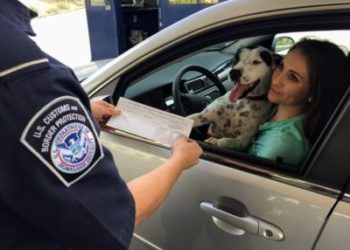 CBSA تشجع المسافرين إلى امريكا لتجهيز جميع وثائقهم قبل العبور للمساعدة في تقليل أوقات الانتظار الطويلة