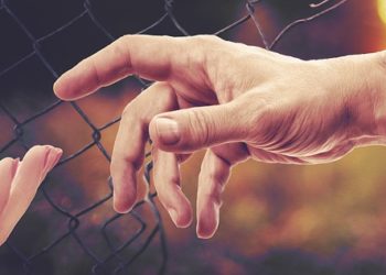 عائلة لاجئة :منظمة تهتم بمساعدة اللاجئين تهدر أموال دافعي الضرائب