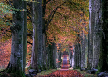 مجموعة من المسارات الطبيعية التي تنبض بالحياة على بعد 30 دقيقة من أوتاوا