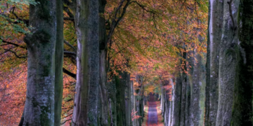 مجموعة من المسارات الطبيعية التي تنبض بالحياة على بعد 30 دقيقة من أوتاوا