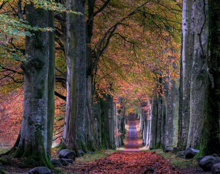 مجموعة من المسارات الطبيعية التي تنبض بالحياة على بعد 30 دقيقة من أوتاوا