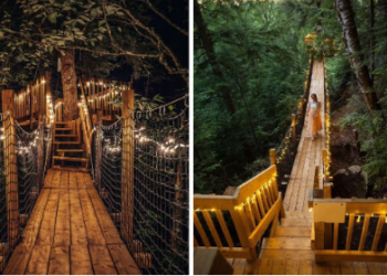 جسر الأحلام السحري : الوجهة المناسبة لرحلة برية قرب أوتاوا