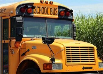 خدمة الحافلات المدرسية في مونتريال قد لا تُستأنف مع بداية العام الدراسي