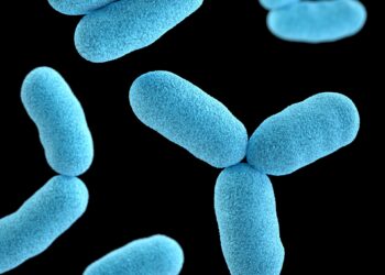 وفاة 4 من كبار السن نتيجة عدوى بكتيرية