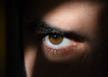 بدء التحقيق في استخدام شرطة الخيالة الملكية الكندية RCMP لبرامج التجسس