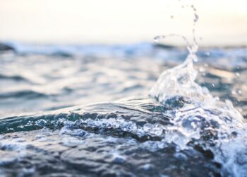 إغلاق شاطئ “Jean-Doré” في مونتريال بسبب التلوث بمستويات عالية من البكتيريا