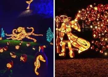 استكشف مهرجان Village au Pied-du-Courant في مونتريال خلال عطلة نهاية الأسبوع