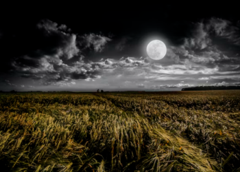 قمر الحصاد يكتمل نهاية هذا الأسبوع