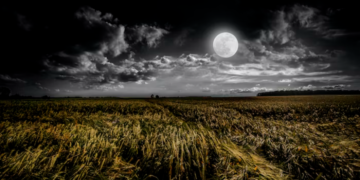 قمر الحصاد يكتمل نهاية هذا الأسبوع