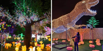 تجربة ساحرة مليئة بالأضواء في Illumi هذا الخريف