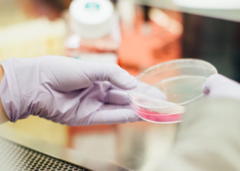 باحثون من ميشغان يطورون طريقةً جديدة لقتل الفيروسات و البكتيريا في دقائق