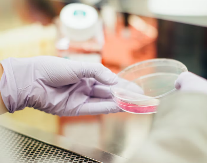 باحثون من ميشغان يطورون طريقةً جديدة لقتل الفيروسات و البكتيريا في دقائق