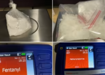 القبض على شخص مطلوب يحمل مسدساً و مواد مخدرة في محطة حافلات في ديترويت