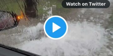 أمطار غزيرة في مونتريال والمياه تغمر محطات المترو والشوارع( فيديو)