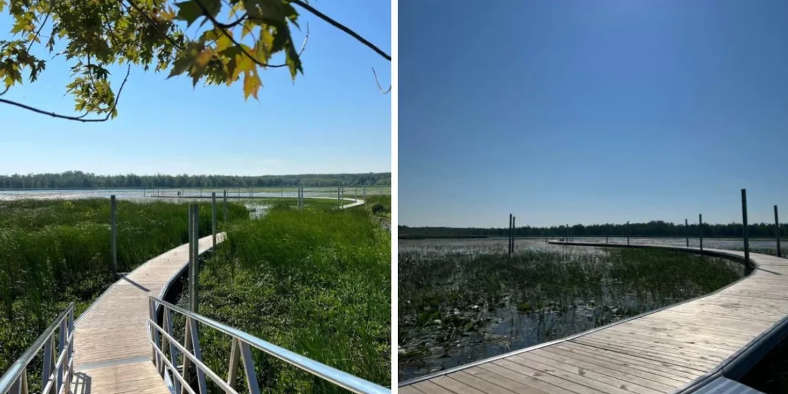 استكشف الممر الخشبي الجديد في منتزه Oka الوطني في كيبيك