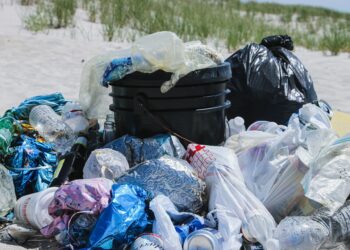 اعتباراً من يوم غد .. بدء حظر الأكياس البلاستيكية في مونتريال بشكل رسمي