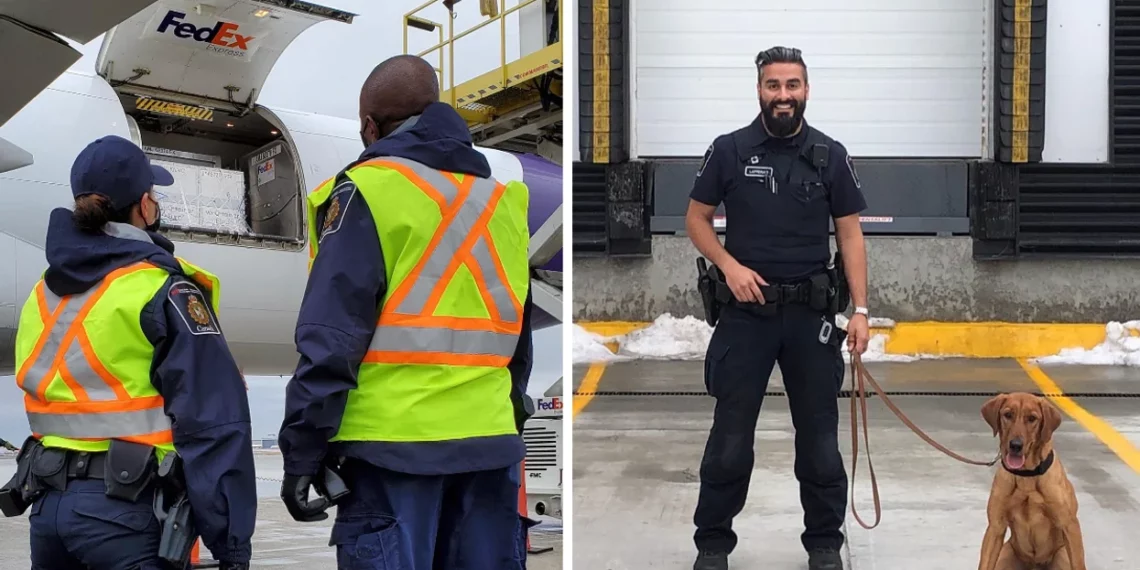 وظائف لدى وكالة خدمات الحدود الكندية برواتب أكثر من 100،000 دولار سنوياً