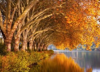 5 أماكن ممتعة للركض والمشي هذا الخريف في أوتاوا