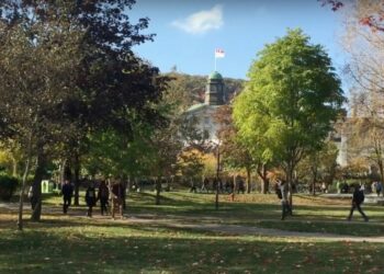 دورات تعليمية متنوعة تقدمها جامعة “McGill” مجاناً عبر الإنترنت