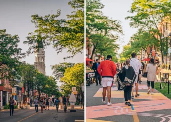 استمتع بشارع Wellington المخصص للمشاة خلال نهاية الأسبوع في مونتريال قبل إغلاقه