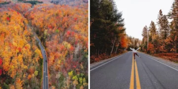 7 رحلات بريّة للاستمتاع بفصل الخريف في كندا