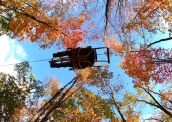 يمكنك الآن ركوب الدرّاجة بين قمم أشجار الخريف على أكبر دراجة معلّقة بالعالم بالقرب من مونتريال