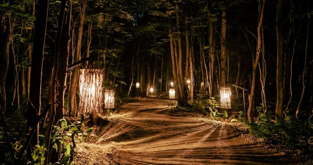 مسار ليلي جديد عبر الغابة مع عروض ضوئية جميلة في كيبيك