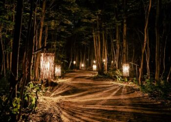 مسار ليلي جديد عبر الغابة مع عروض ضوئية جميلة في كيبيك