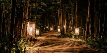 مسار ليلي جديد عبر الغابة مع عروض ضوئية جميلة في كيبيك