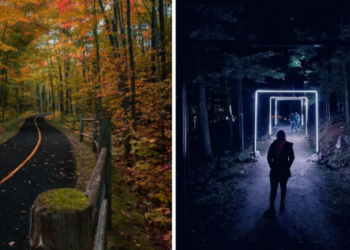 8 نشاطات للقيام بها حول أوتاوا في عطلة نهاية الأسبوع في عيد الشكر