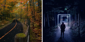 8 نشاطات للقيام بها حول أوتاوا في عطلة نهاية الأسبوع في عيد الشكر