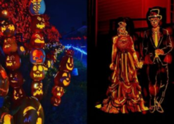 مهرجان اليقطين المضيء : فعالية جميلة بالقرب من مونتريال